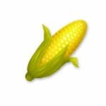 Corn