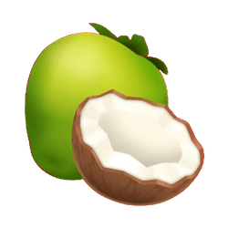 Coconut