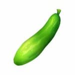 Cucumber