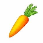 Carrot