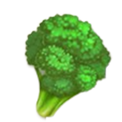 Broccoli