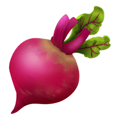 Beetroot