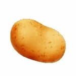 Potato